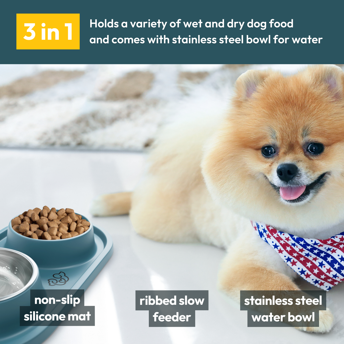 The Vet Approved Dog Bowl That Protects Your Pup’s Health