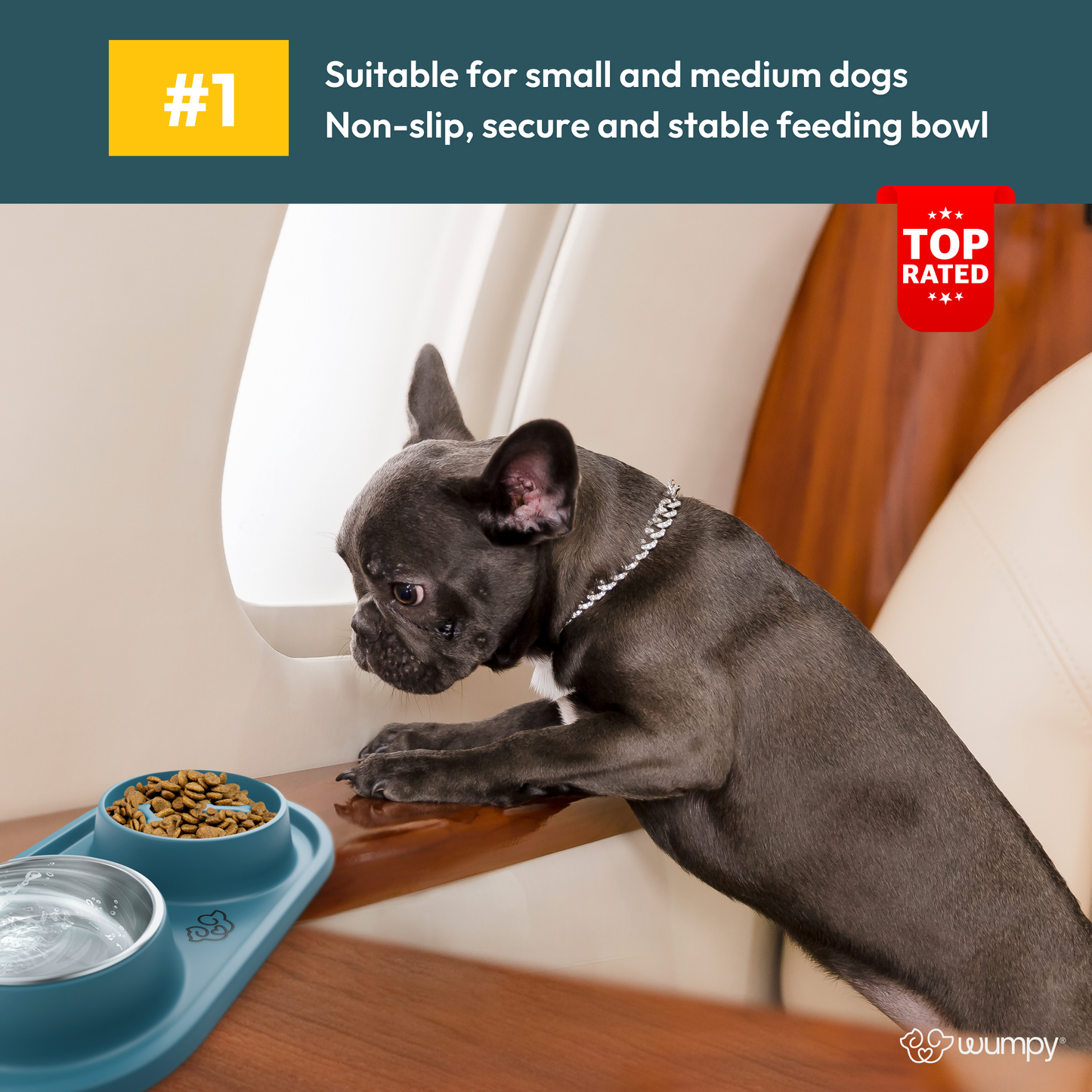 The Vet Approved Dog Bowl That Protects Your Pup’s Health