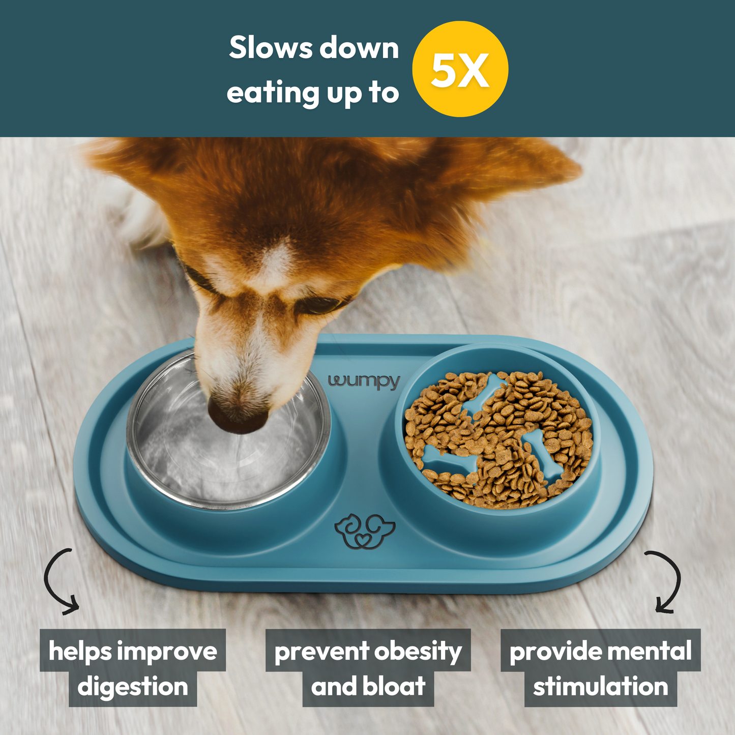 The Vet Approved Dog Bowl That Protects Your Pup’s Health