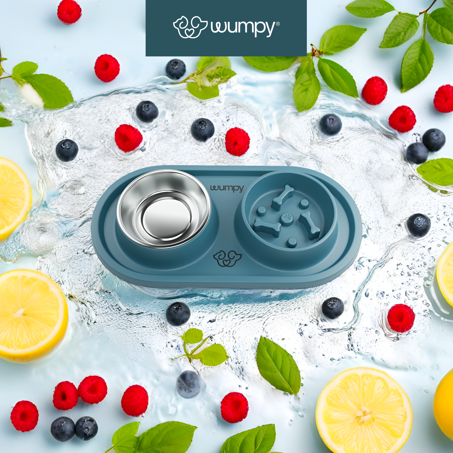 The Vet Approved Dog Bowl That Protects Your Pup’s Health
