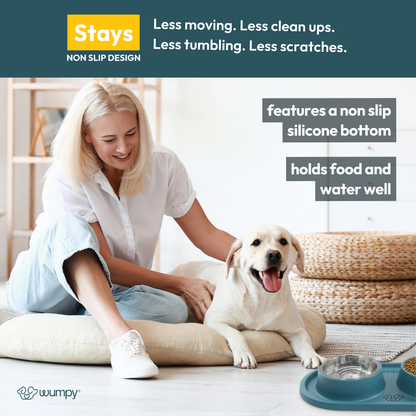 The Vet Approved Dog Bowl That Protects Your Pup’s Health